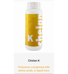 SP MỚI PHÂN BÓN LÁ KALI AMINO AXIT -CHELAN K  (30% K2O+10% Amino axit) Hy Lạp