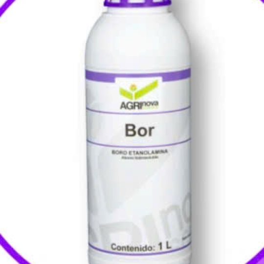 SP MỚI PHÂN BÓN LÁ  Bor hữu cơ 11% (TBN)
